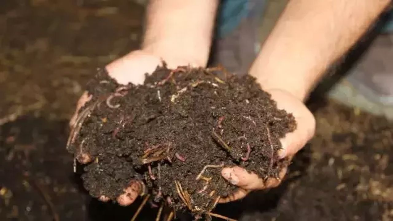 Orta Doğu’daki savaş tarımı vurdu: Gübre krizi büyüyor