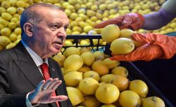 Tezgahta 100 lirayı aşmıştı: Limon ithalatında vergi indirimi kararı