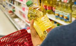 A101, BİM, ŞOK ve Migros’ta 5 Litre Ayçiçek Yağı Fiyatlarında indirim